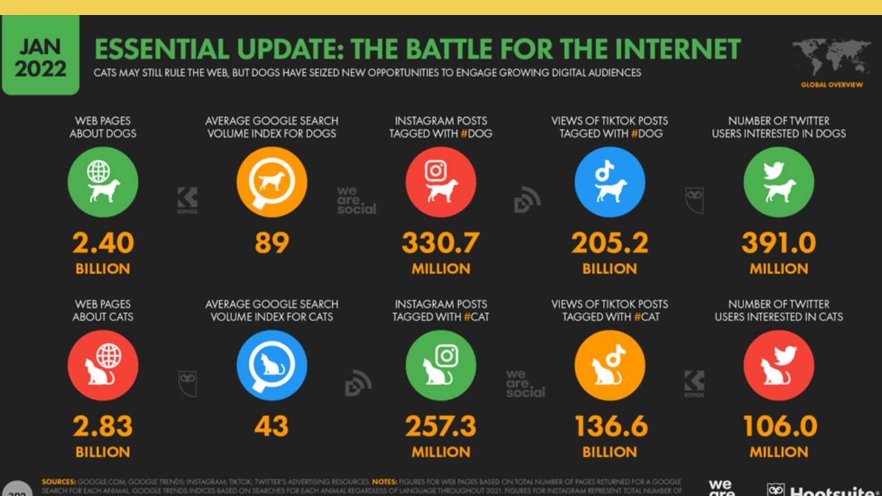 internet stats on dog and cat posts
